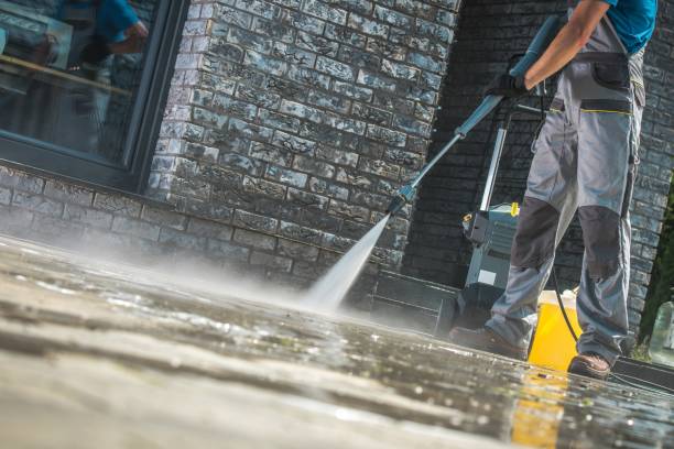 Best Building Exterior Washing  in La Paloma, TX