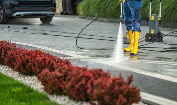 Best House Exterior Washing  in La Paloma, TX